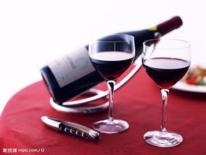 法國原裝紅酒進口全流程解析 從報關商檢到市場銷售