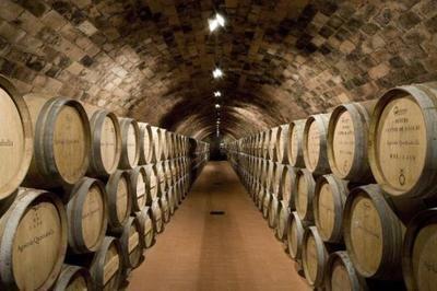 82年的拉菲為何至今仍有售？解析葡萄酒產量與市場流通的奧秘